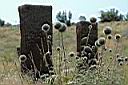 Ararat_05_3003_hroby_yyy.JPG