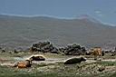 Ararat_05_3191_Maly_Ararat_y.JPG