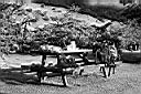 Patagonie_BW_06_Laguna_Amargo_yy.JPG