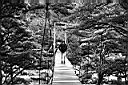 Patagonie_BW_camp_Italiano_03_Kytka_yyy.JPG