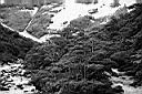 Patagonie_BW_camp_Italiano_04_yy.JPG