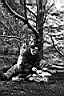 Patagonie_BW_camp_Italiano_jirka_17_y.JPG