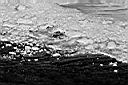 Patagonie_BW_Moreno_04_y.JPG