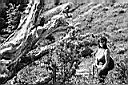 Patagonie_BW_Punta_Arenas_13_Kytka_yy.JPG