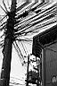 Patagonie_BW_Punta_Arenas_14_yy.JPG