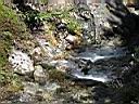 Rio del Frances pod camp. Britanica