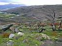 Patagonie_Matic_34_Porterie_Sarmiento_yy.JPG