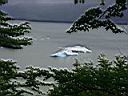 Patagonie_Matic_48_Glaciar_Grey_y.JPG