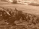 Patagonie_Matic_65_tucnaci_y.JPG