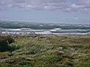Patagonie_Matic_66_Punta_Arenas_y.JPG